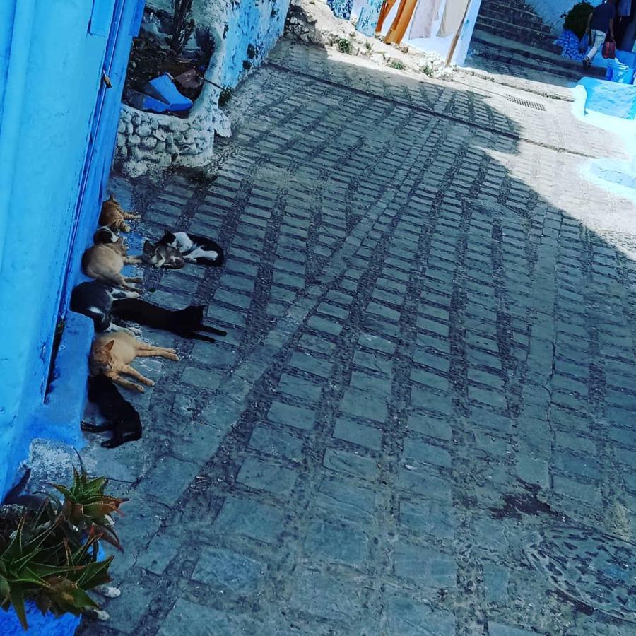 Apartmán Casa Mablu Šafšawán Exteriér fotografie